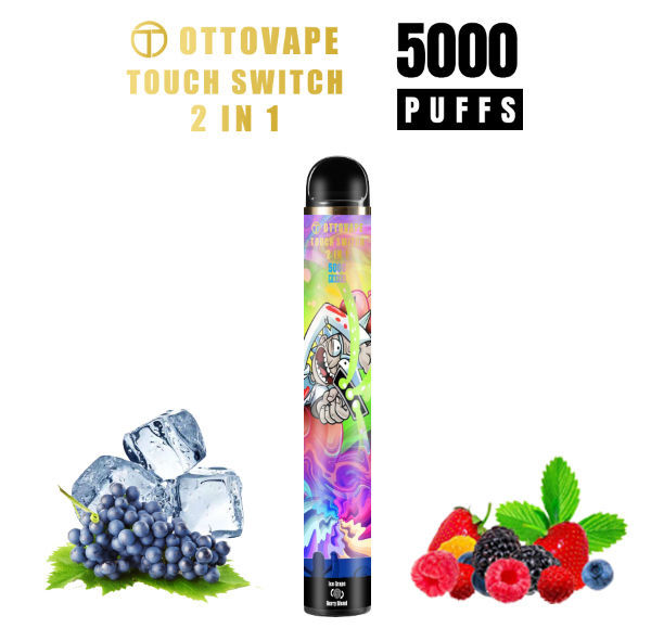 Flash Puff China New Touch swtich Disposable Electronic Cigarette with two flavors ...