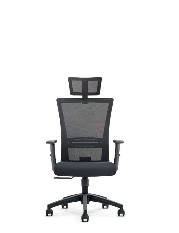 Godrej thrive chair price hot sale