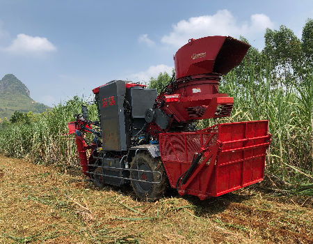 China FMWORLD GQ Wheeled Sugarcane Harvester New Technology On Global Sources Sugar Cane