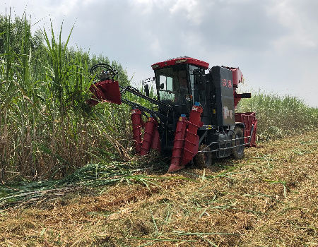 China FMWORLD GQ Wheeled Sugarcane Harvester New Technology On Global Sources Sugar Cane