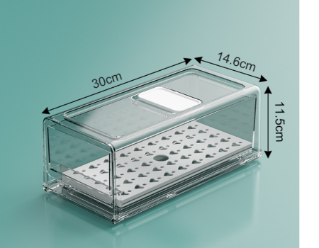 https://p.globalsources.com/IMAGES/PDT/B5173647061/egg-organizer-for-refrigerator.png