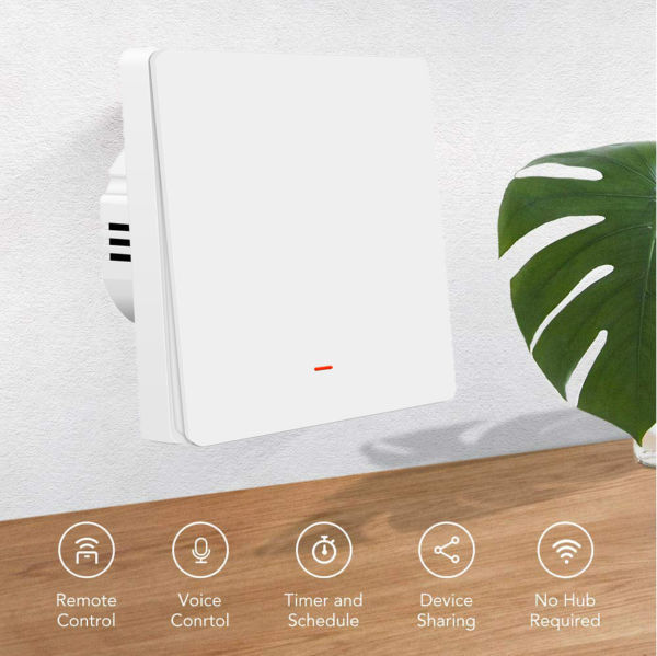 China Best Tuya Zigbee3.0 10A Smart 1 Way Light Switches EU Standard