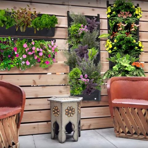 https://p.globalsources.com/IMAGES/PDT/B5175189107/Wall-Hanging-Planters.jpg