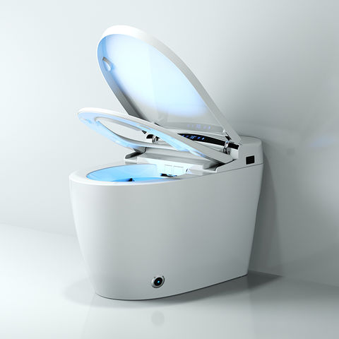 China Intelligent Toilet One Piece Ceramic Sanitary Ware Hygienic Full ...
