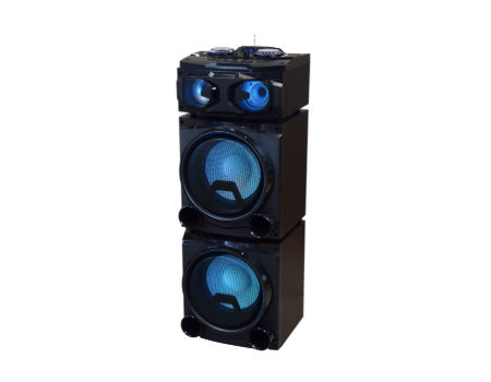 China High quality double 12 inch trolley party speaker with RGB LED ...
