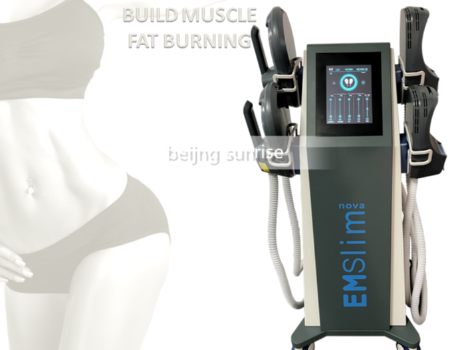 https://p.globalsources.com/IMAGES/PDT/B5176621335/EMS-Sculpting-Machine.png