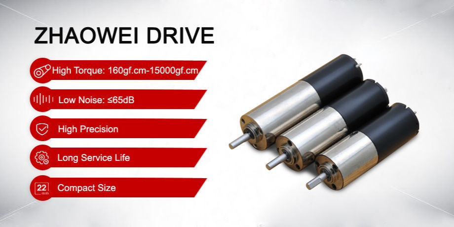 China Zhaowei DC Gear Motor 22mm Shaft 24V Low Speed Mini Gearmotor for ...