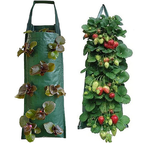 Hanging Planting Bag Vertical Garden PE Flower Grow Bags Plant Pot