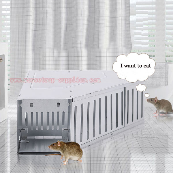 Triangular Rat Trap Humane Metal Triangle Corner Rat Rodent Control Multiple Live Catch ...