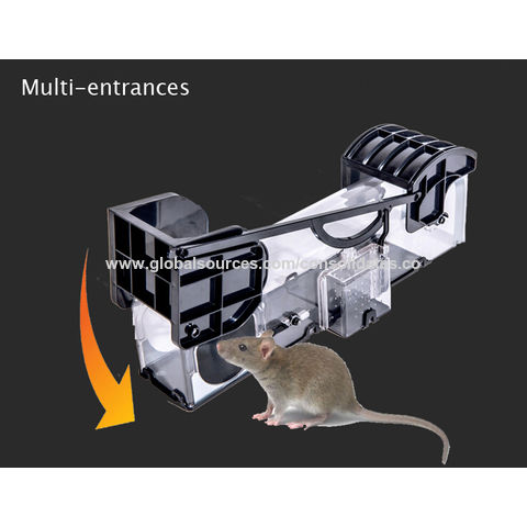 Humane Catch and Release Indoor/Outdoor Mouse Traps India