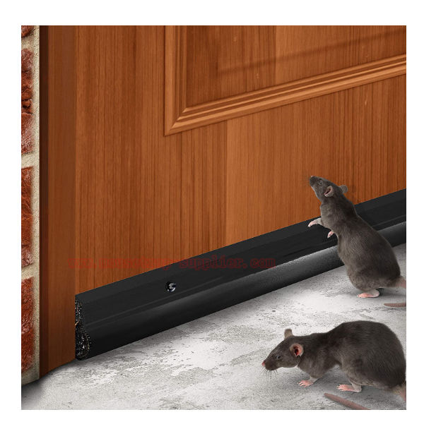 https://p.globalsources.com/IMAGES/PDT/B5180796691/Mouse-Rodent-Proof-Door-Sweep.jpg