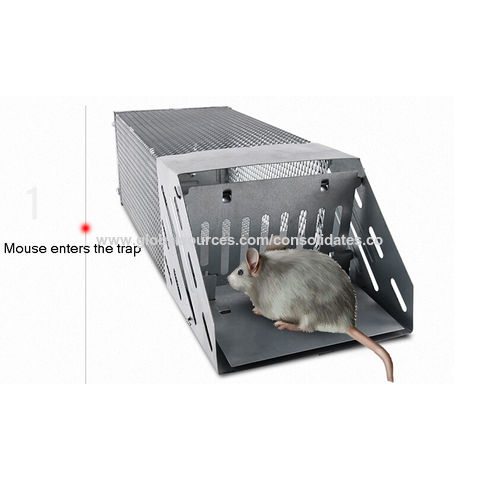 Large Animal Trap Humane Rodent Control Mouse Live Rat Cage - China Rat  Cage and Mouse Cage price