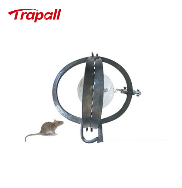 ABS Plastic Powerful Mouse Rat Snap Trap Manufacturer - China Snap Trap and  Plastic Snap Trap price