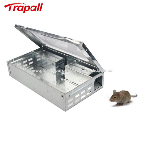 ABS Plastic Powerful Mouse Rat Snap Trap Manufacturer - China Snap Trap and  Plastic Snap Trap price