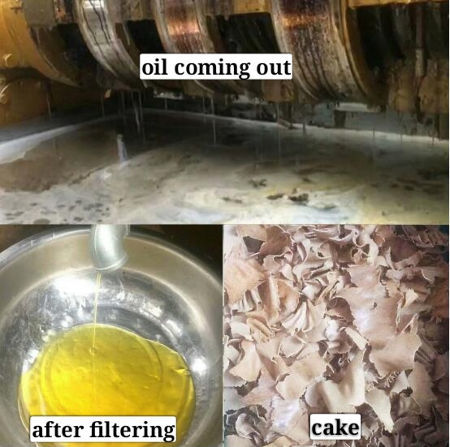 Cold sunflower seed oil press machine soybean oil press machine supplier