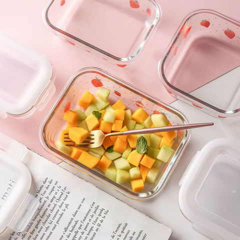 Two Compartment Glass Food Lunch Box with Spoon Fork Knife - Customized  Glass Food Containers & Mug & Bowls Manufacturer .