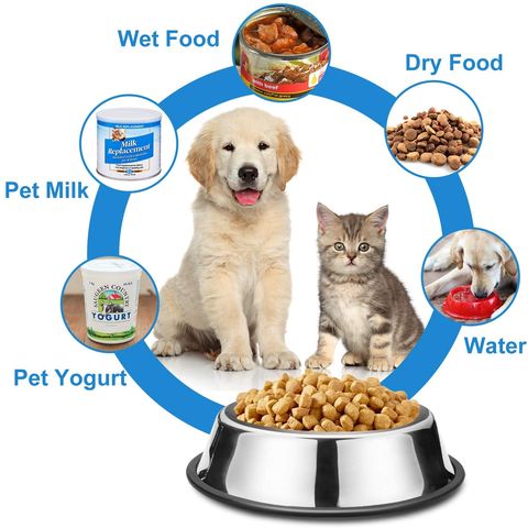 Small Dog Food Bowls.Stainless Steel No Spill Dog Food Water Bowls.The  Puppy Feeder Food Bowl.Dog Dish.No Spill,Non-Slip Metal Pet Water Bowl,Dog