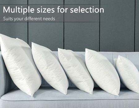 https://p.globalsources.com/IMAGES/PDT/B5182315246/Throw-Pillow-Inserts.jpg
