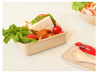 China Rice husk lunch box ecofriendly biodegradable leakproof children ...