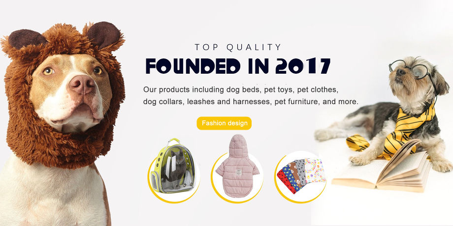 petsmart dog blanket