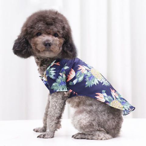 Wholesale New Designer Comfortable Fashion Pet Clothes Luxury Custom Dog  Shirt Plain Pet Clothes Pet Apparel - China Pet Clothes and Dog Clothing  price