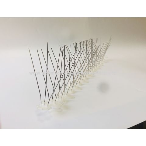 https://p.globalsources.com/IMAGES/PDT/B5186164430/Treatment-Stainless-Steel-Bird-Spikes.jpg