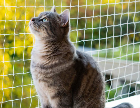 NEEZ Cat Net for Balcony and Window I Transparent Protective Net Including Mounting Set I Attachment of Cat Protection Net for Balcony No Drilling