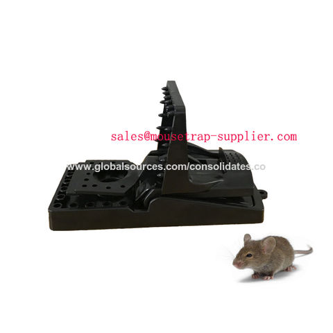 Plastic Mice Rats Killer Disposable Snap Traps - China Snap Trap