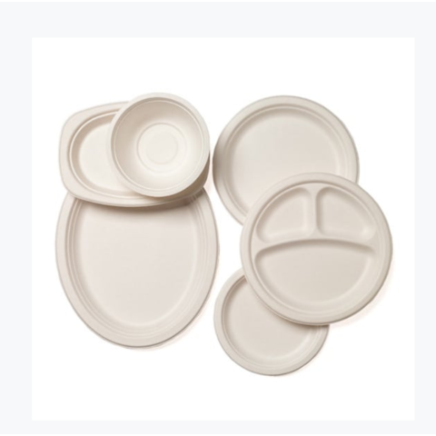 China Sugar Cane Compostable Biodegradable Disposable Sugarcane Bagasse ...
