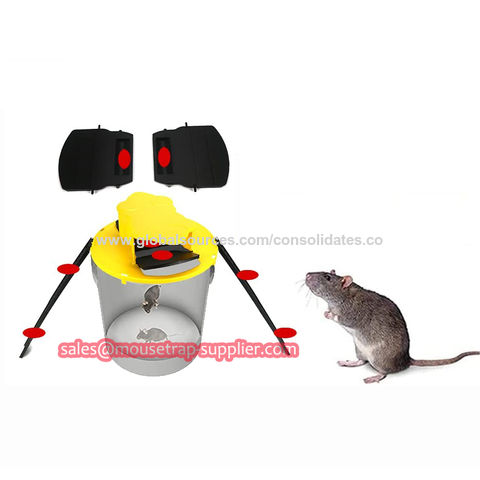 https://p.globalsources.com/IMAGES/PDT/B5187656131/Slide-Bucket-Lid-Mouse-Trap.jpg