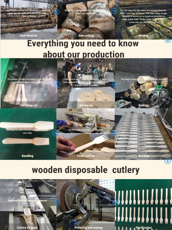 China Bamboo Biodegradable Fancy Flavored Popsicle Stick Ice Cream