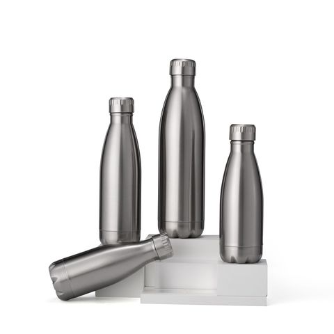 Insulated Stainless Steel Water Bottles (Set of 2) sports water