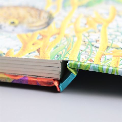 China Hardback Casebound Binding Board Book Flap Lift Book For Children 