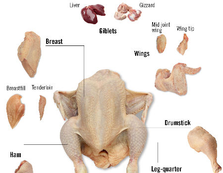 Isol Chicken Part Canada Frozen Halal Whole Chicken Premium Quality on Global Sources ...