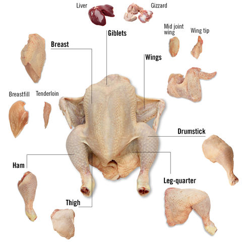 Canada BRAZILIAN FROZEN WHOLE CHICKEN AND CUTS on Global Sources ...