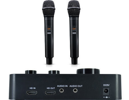 4.1 sound system mic input