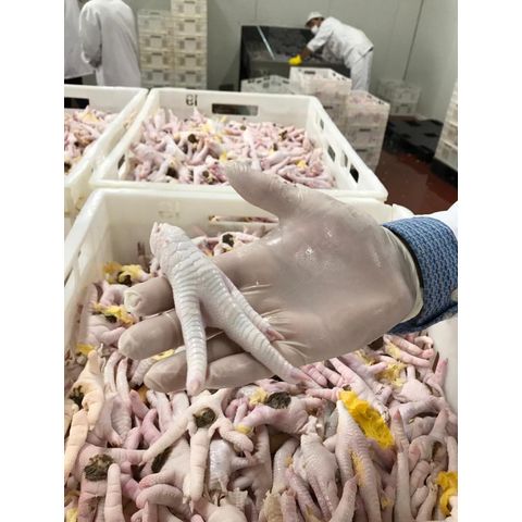 United States Grade A Frozen Chicken Feet And Chicken Paws On Global Sources Frozen Chicken Feet