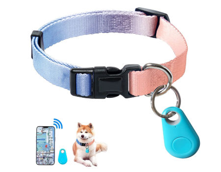 smart buckle dog collar