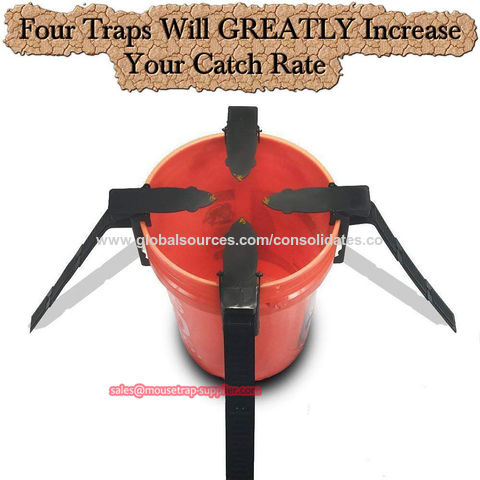 https://p.globalsources.com/IMAGES/PDT/B5192003749/Walk-The-Plank-Mouse-Trap.jpg