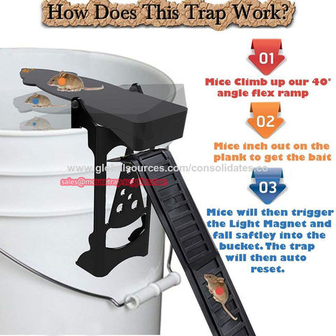 https://p.globalsources.com/IMAGES/PDT/B5192003754/Walk-The-Plank-Mouse-Trap.jpg