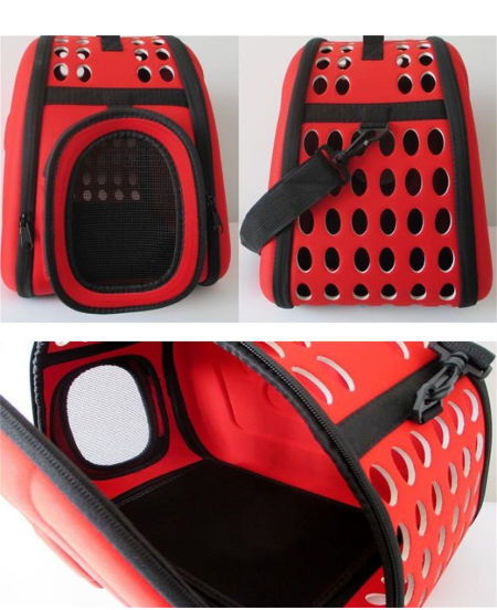 China Hot-selling Pet Supplies Folding Dog Carrier EVA Cat Dog