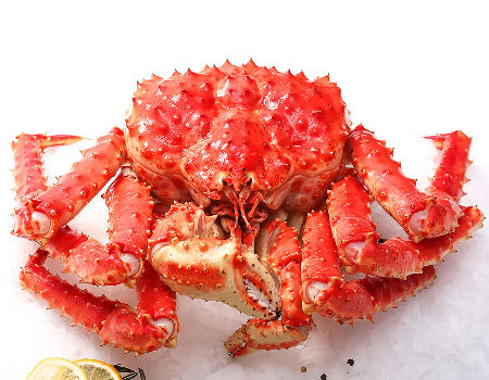 Canada PREMIUM FROZEN KING CRAB 1200GM TO 1400GM on Global Sources ...