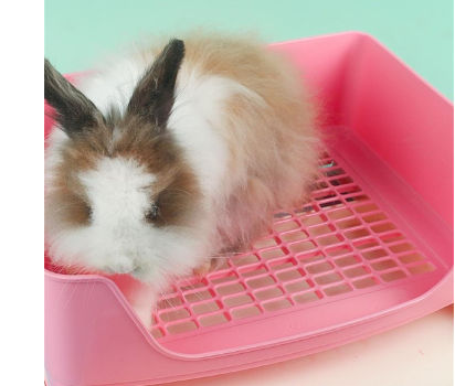 rabbit cleaning supplies