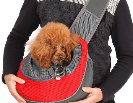comfort pet sling