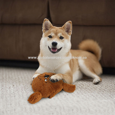 https://p.globalsources.com/IMAGES/PDT/B5193969285/Puzzle-Game-for-Dog-Toy.jpg