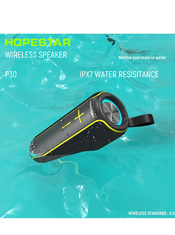 Factory Recommend Waterproof Resistant P30 IPX7 16W Wireless Speakers Support TWS supplier