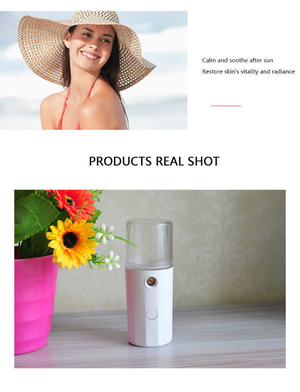 China Mini Portable Electric Water Supply Instrument Nano Facial Mist