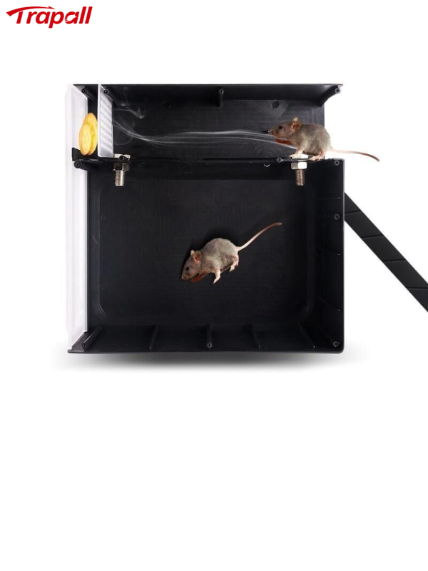 Plastic Warehouse Mousetrap, Rat Trap Mouse Mousetrap