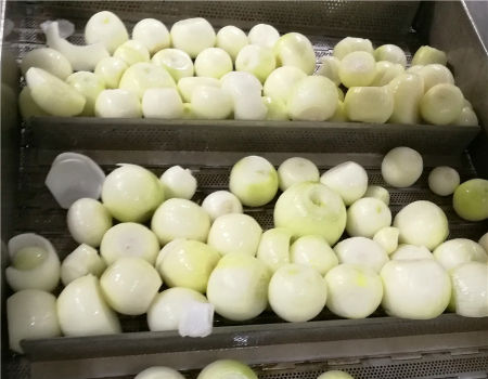 IQF Frozen Chopped White Onions - B.Y. Agro & Infra Ltd.