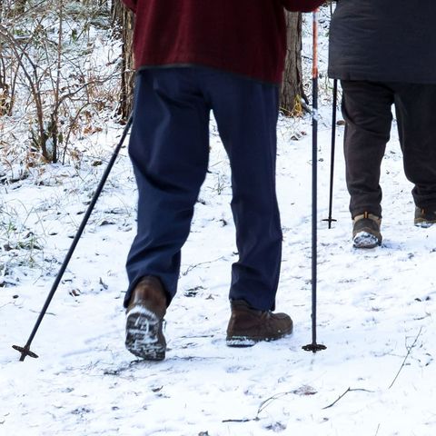 https://p.globalsources.com/IMAGES/PDT/B5197101363/Trekking-poles.jpg